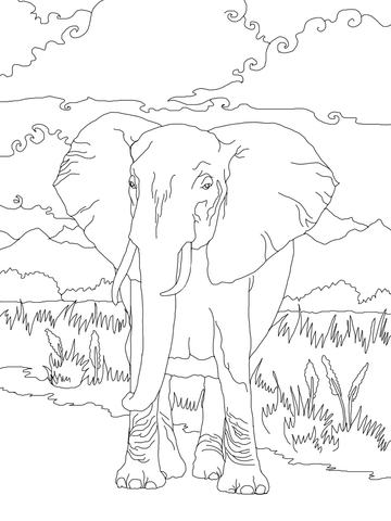 African Bush Elephant Coloring Page